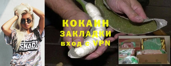 COCAINE Богородицк