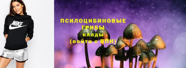 COCAINE Богородицк