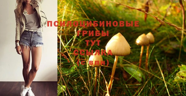 jwh Богородск
