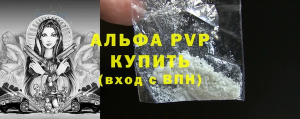 spice Беломорск