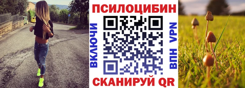 Псилоцибиновые грибы прущие грибы  магазин продажи наркотиков  Суздаль 