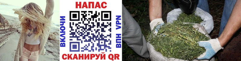 МАРИХУАНА OG Kush  Суздаль 